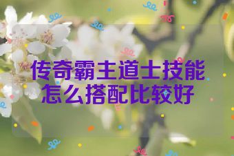 传奇霸主道士技能怎么搭配比较好