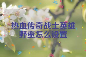 热血传奇战士英雄野蛮怎么设置