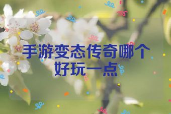 手游变态传奇哪个好玩一点