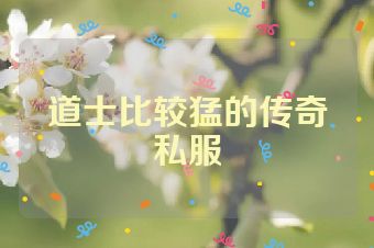 道士比较猛的传奇私服