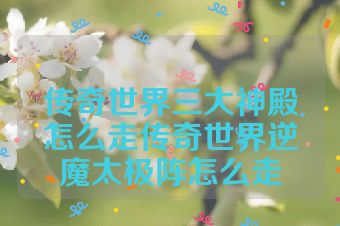 传奇世界三大神殿怎么走传奇世界逆魔太极阵怎么走