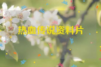 热血传说资料片