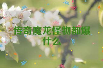 传奇魔龙怪物都爆什么