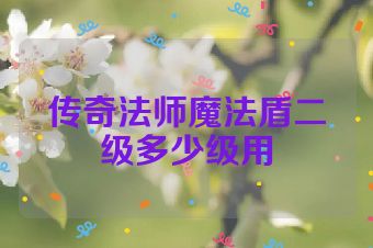 传奇法师魔法盾二级多少级用