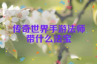 传奇世界手游法师带什么法宝