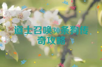 道士召唤30条狗传奇攻略