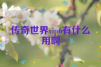 传奇世界vip6有什么用啊
