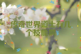 传奇世界道士有几个技能啊