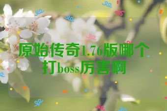 原始传奇1.76版哪个打boss厉害啊