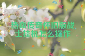 热血传奇怀旧版战士挂机怎么操作