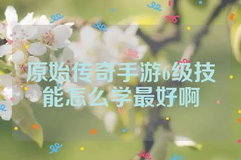 原始传奇手游6级技能怎么学最好啊