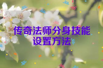 传奇法师分身技能设置方法