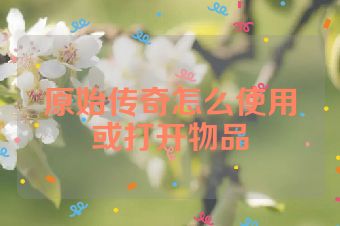 原始传奇怎么使用或打开物品