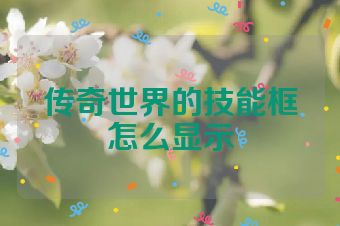 传奇世界的技能框怎么显示