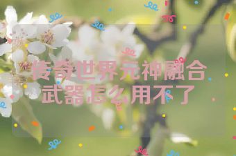 传奇世界元神融合武器怎么用不了