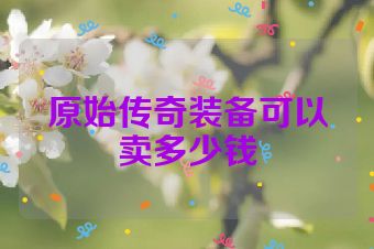 原始传奇装备可以卖多少钱