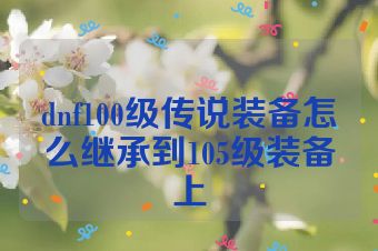 dnf100级传说装备怎么继承到105级装备上