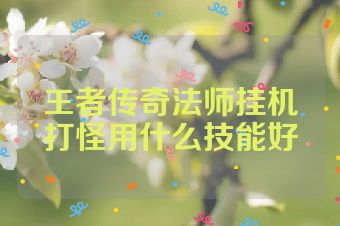 王者传奇法师挂机打怪用什么技能好