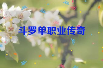 斗罗单职业传奇
