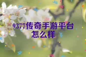 9377传奇手游平台怎么样