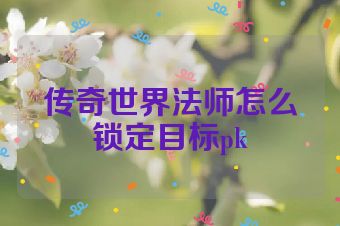 传奇世界法师怎么锁定目标pk
