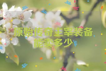 原始传奇主宰装备能卖多少