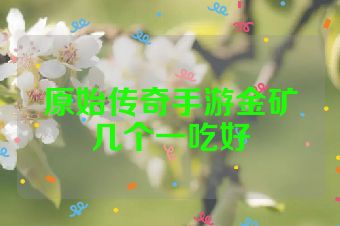 原始传奇手游金矿几个一吃好