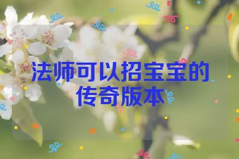 法师可以招宝宝的传奇版本