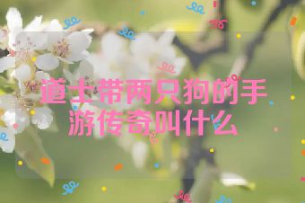 道士带两只狗的手游传奇叫什么
