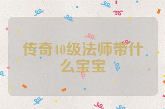 传奇40级法师带什么宝宝