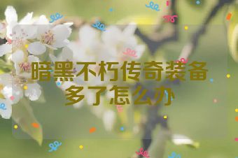 暗黑不朽传奇装备多了怎么办