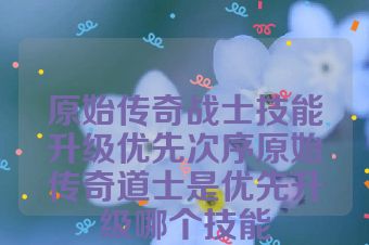 原始传奇战士技能升级优先次序原始传奇道士是优先升级哪个技能