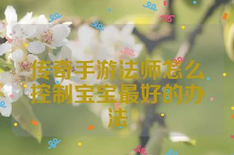 传奇手游法师怎么控制宝宝最好的办法