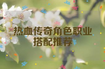 热血传奇角色职业搭配推荐
