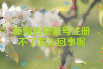原始传奇账号注册不了怎么回事呢