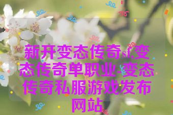 新开变态传奇sf,变态传奇单职业-变态传奇私服游戏发布网站