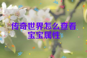 传奇世界怎么查看宝宝属性