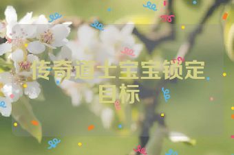 传奇道士宝宝锁定目标