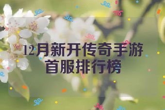 12月新开传奇手游首服排行榜