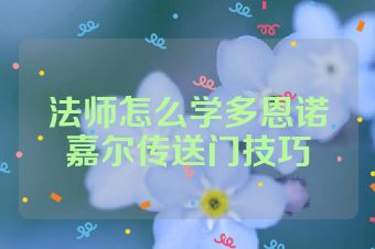 法师怎么学多恩诺嘉尔传送门技巧