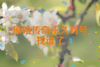 原始传奇永久封号找谁了