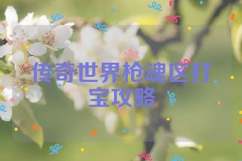 传奇世界枪魂区打宝攻略