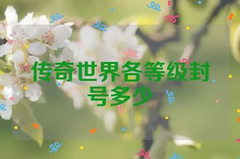 传奇世界各等级封号多少