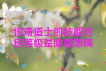 传奇道士的技能对应等级是啥意思啊