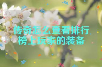 传奇怎么查看排行榜上玩家的装备