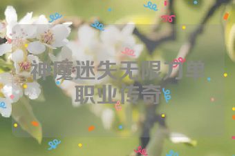 神魔迷失无限刀单职业传奇