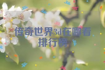 传奇世界3d在哪看排行榜