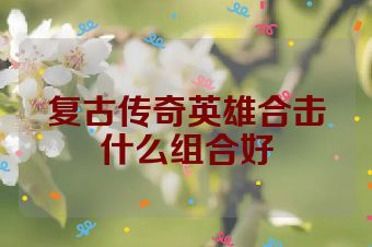 复古传奇英雄合击什么组合好