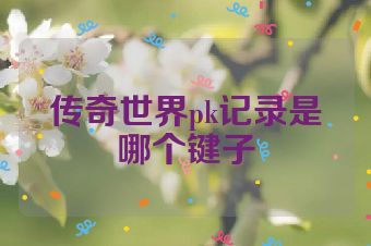 传奇世界pk记录是哪个键子