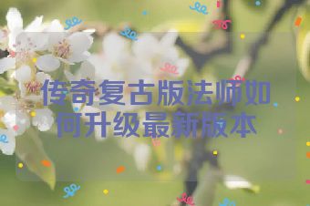 传奇复古版法师如何升级最新版本